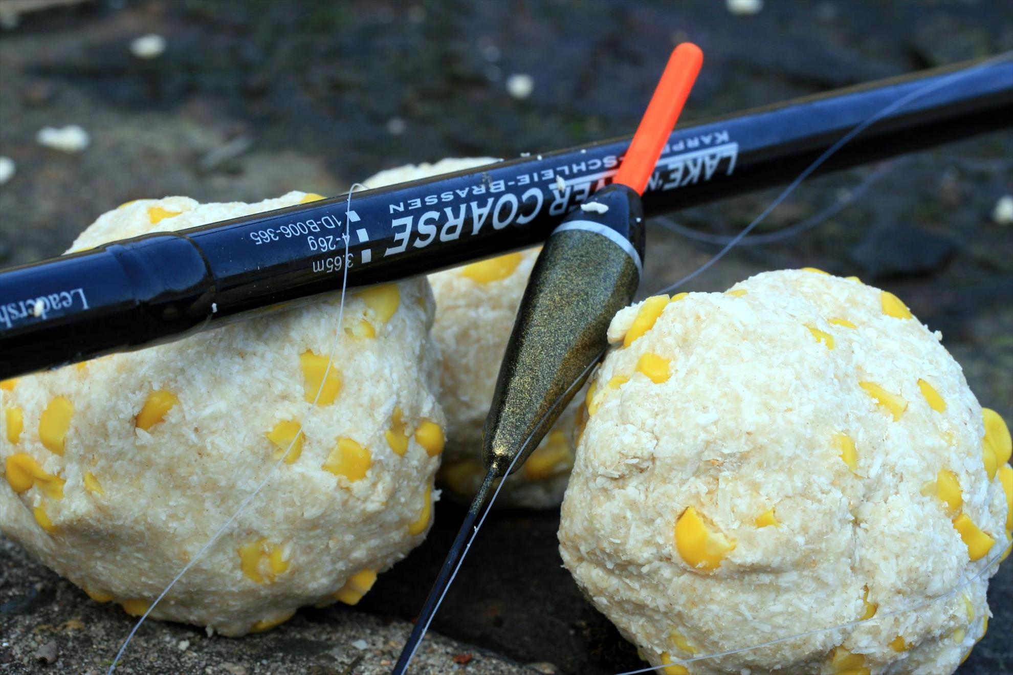 pescuitul+natura - 9031304264570374470041992511035o.jpg